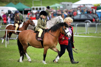 Lead Rein