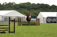 Class 159-160 Working Hunter RI Qualifier