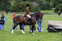 Class 162- 165 Ridden Cobs