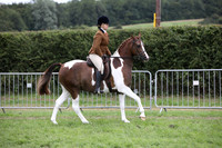 Chaps Ridden Class 190-193