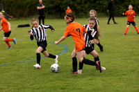 U8 Girls 7v7
