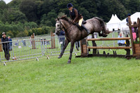 BSPS Heritage Working Hunter 129-133