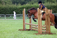 Working Hunter Pony 123-126