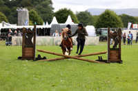 Working Hunter 197-201
