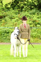 Young handler Junior Equitation