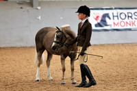 Young handler / junior equitation