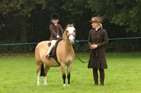 LEAD REIN