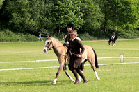 Dressage