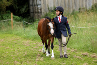 Junior equitation young handler & Tiny tats