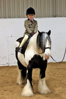 Lead Rein