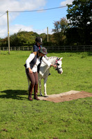 handy pony  29-Aug-16