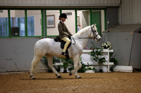 Ridden main ring 8:30 - 12Noon