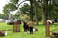 Working Hunter Championship