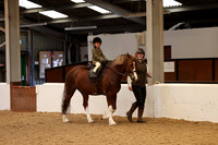 Lead rein