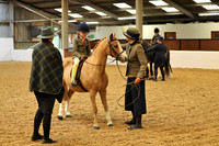 Lead Rein