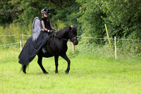 Fancy Dress
