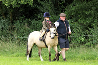Lead rein